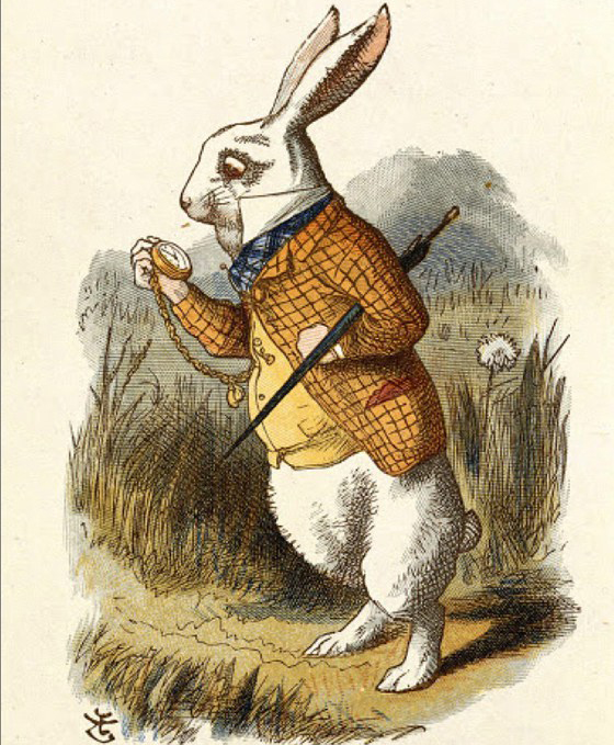 Ilustración de John Rabbit