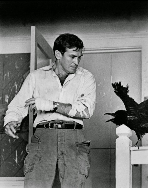 El actor Rod Taylor, recientemente desaparecido, en el rodaje de 'Los pájaros'
