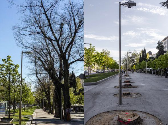 Dos vistas del mismo lugar del Paseo del Prado antes y después de la tala del Ayuntamiento. Foto: José Manuel Ballester. 
