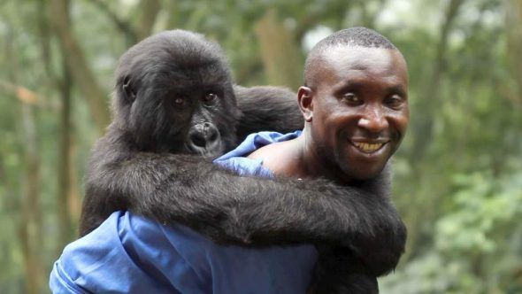 Un fotograma de la película Virunga.