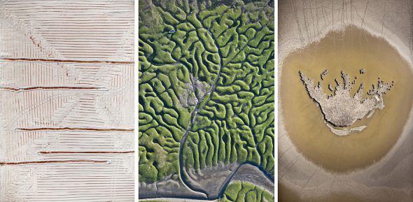 Tres fotografías de fractales en Doñana. Fotos: Héctor Garrido.