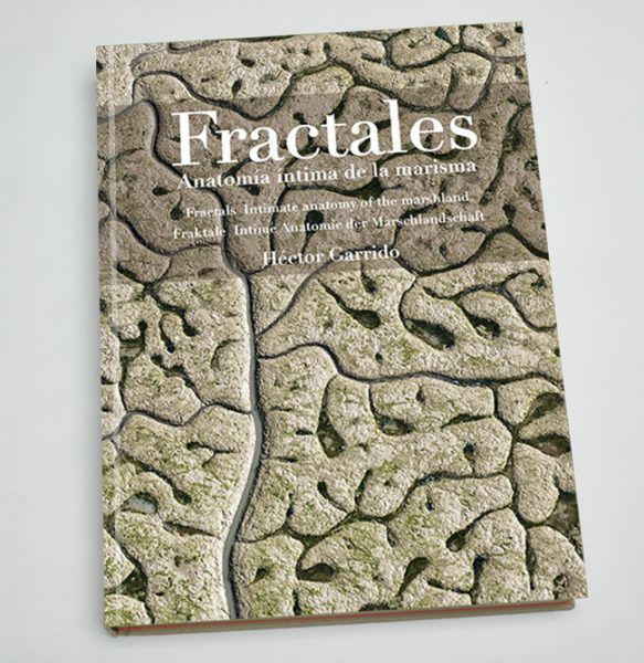 Portada del libro 'Fractales' de Héctor Garrido.