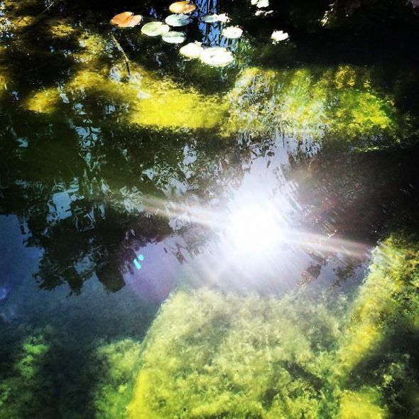 El estanque de David. Foto: Mari Ackerman. 