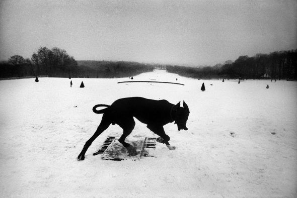 Francia. Hauts-de-Seine. Parc de Sceaux. 1987. Joseph Koudelka.