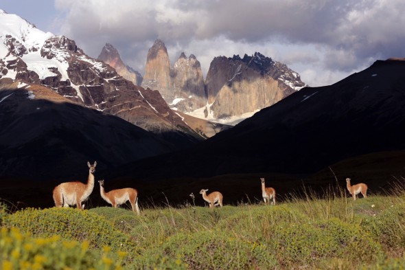 Parque Nacional de Torres del Paine en Chile. Foto: Andoni Canela. 