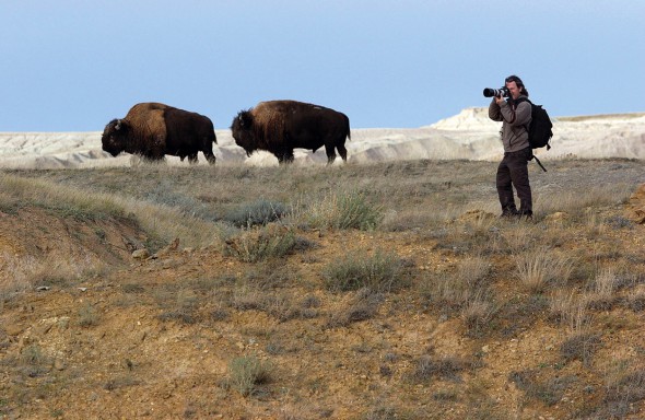 El fotógrafo Andoni Canela en Estados Unidos fotografiando bisontes americanos. 