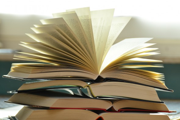 Libros. Foto: PIxabay.