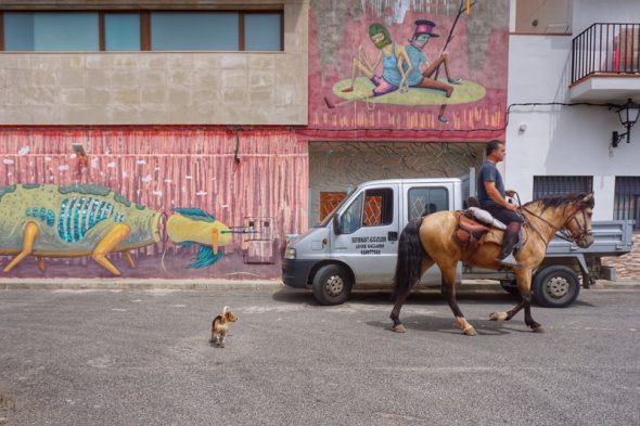 Un caballo por las calles de Fanzara. Foto: Manuel Cuéllar.