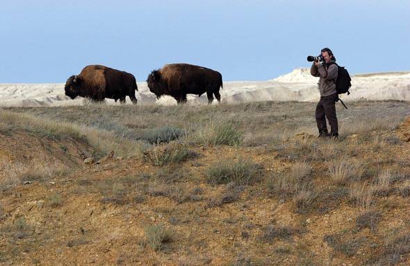 El padre de Unai, el fotógrafo Andoni Canela fotografiando bisontes en el documental 'El viaje de Unai'.