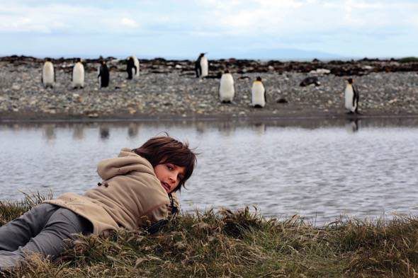 Un fotograma del documental 'El viaje de Unai' en el que se ve al pequeño observando pingüinos.