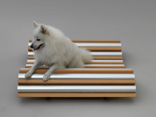 Cama refrigerante canina creada por Hiroshi Naito. Fotografía: Hiroshi Yoda, Architecture for Dogs