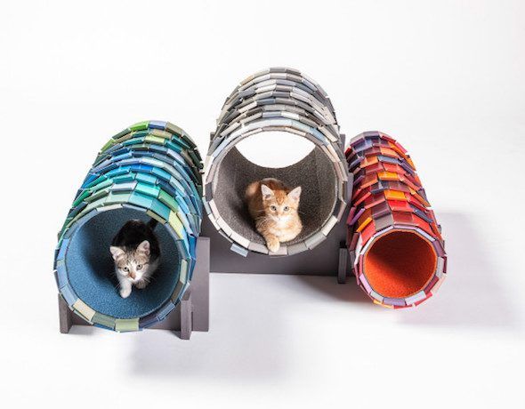 Túneles para gatos callejeros, creados por NAC Architecture. /Foto: Grey Crawford, Architects for animals.