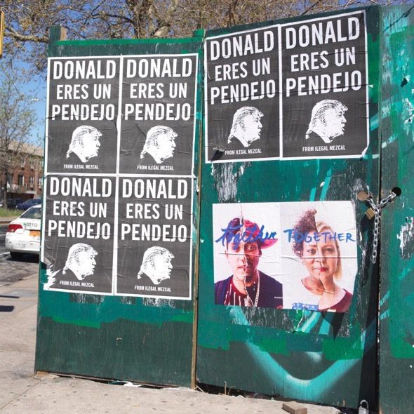 Donald Eres Un Pendejo! Carteles de Illegal Mezcal (Mexicanos). Durante las eleciones presidenciales de Estados Unidos. Esta foto esta tomada en Long Island City en el barrio de Queens en Nueva York.