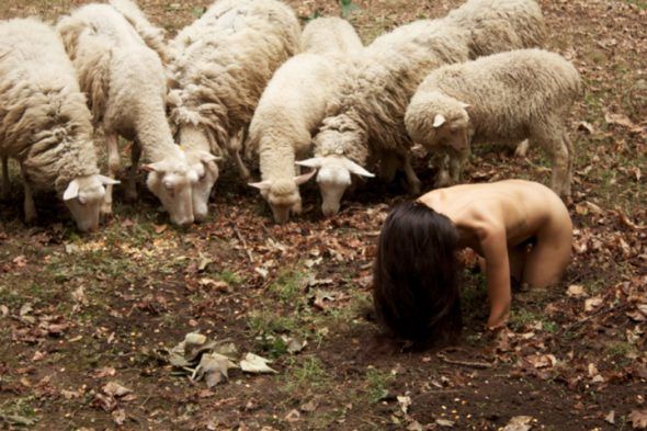 La acción 'La oveja negra' de la performer Regina José Galindo. Foto: Claudio Bettio. 