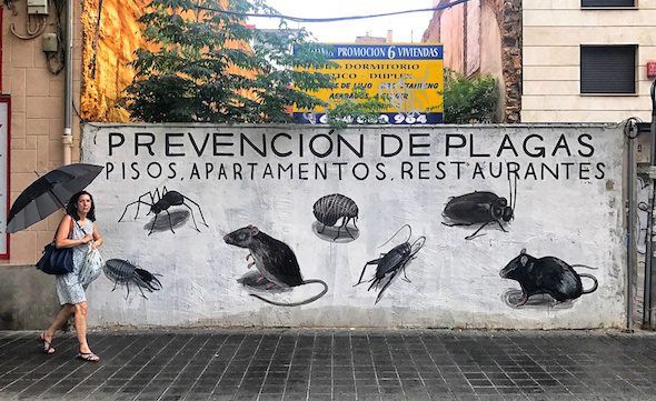 Obra del artista urbano Escif en Valencia en la que compara a los turistas con otras plagas. Foto: Manuel Cuéllar.