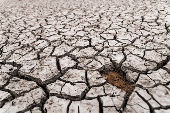 Efectos de la sequía en Alicante. Foto: Jesús Alenda / Flickr Creative Commons. 