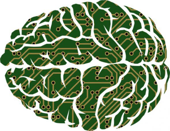 El hemisferio izquierdo del cerebro no puede analizar las cosas de forma global. Ilustración: Pixabay.