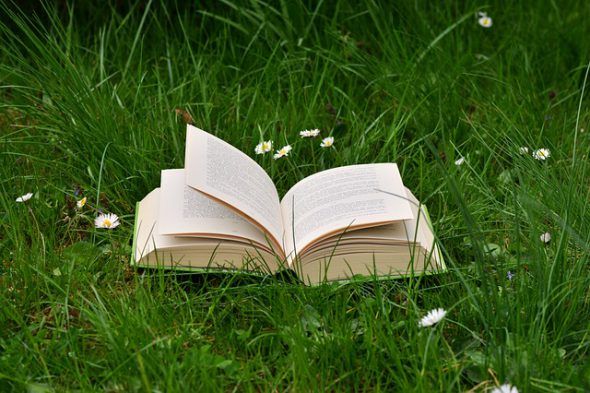 Escribiendo de naturaleza se pueden vender muchos libros. Foto: Pixabay. 