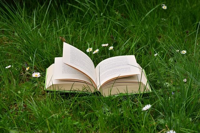 Escribiendo de naturaleza se pueden vender muchos libros. Foto: Pixabay.