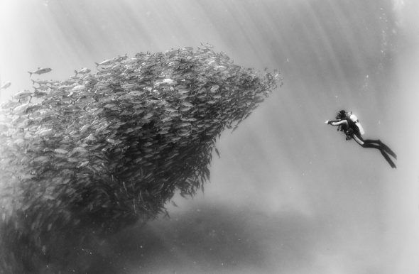 Una de las fotografías de Anuar Patjane de su proyecto 'Underwater Realm'.