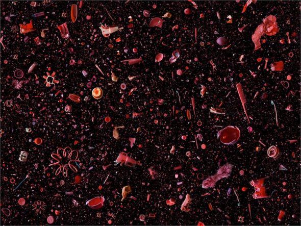 La sopa de tomate. Así titula la fotógrafa Mandy Barker esta obra realizada con desechos plásticos en tonalidades rojizas encontradas en el mar. 