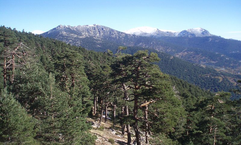 La Sierra de Guadarrama. Foto: Creative Commons.