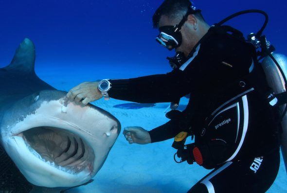 Karlos Simón jugando con un tiburón. 