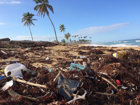 La mayoría de los plásticos que se han elaborado en 150 años han terminado abandonados en la naturaleza. 