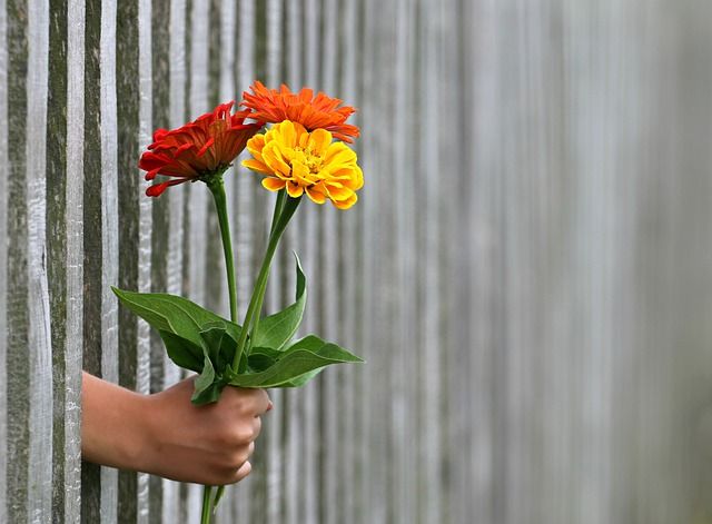 "Los hombres no se regalan flores. A ver si lo vas a volver rarito como tu". Foto: PIxabay.
