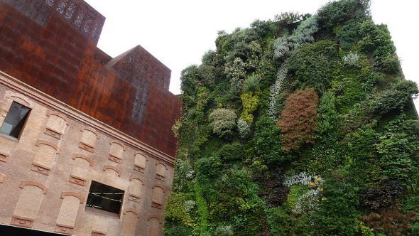 El jardín vertical del CaixaForum de Madrid. Foto: Mertxe Iturrioz.