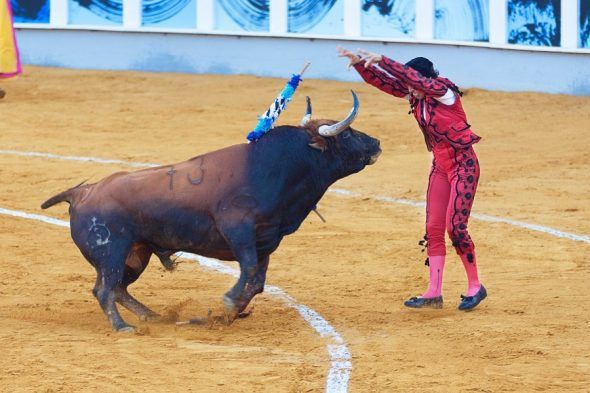 Matrato de un toro en una corrida. Foto: PxHere.