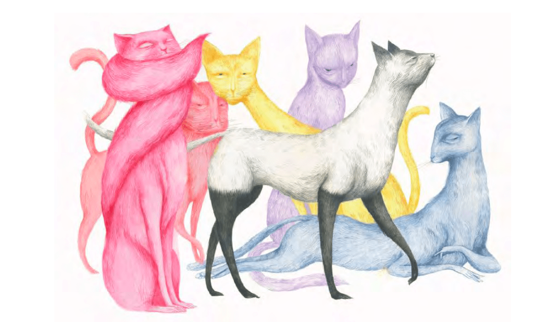 La vida secreta de los gatos' según Ana Juan y Marta Sanz
