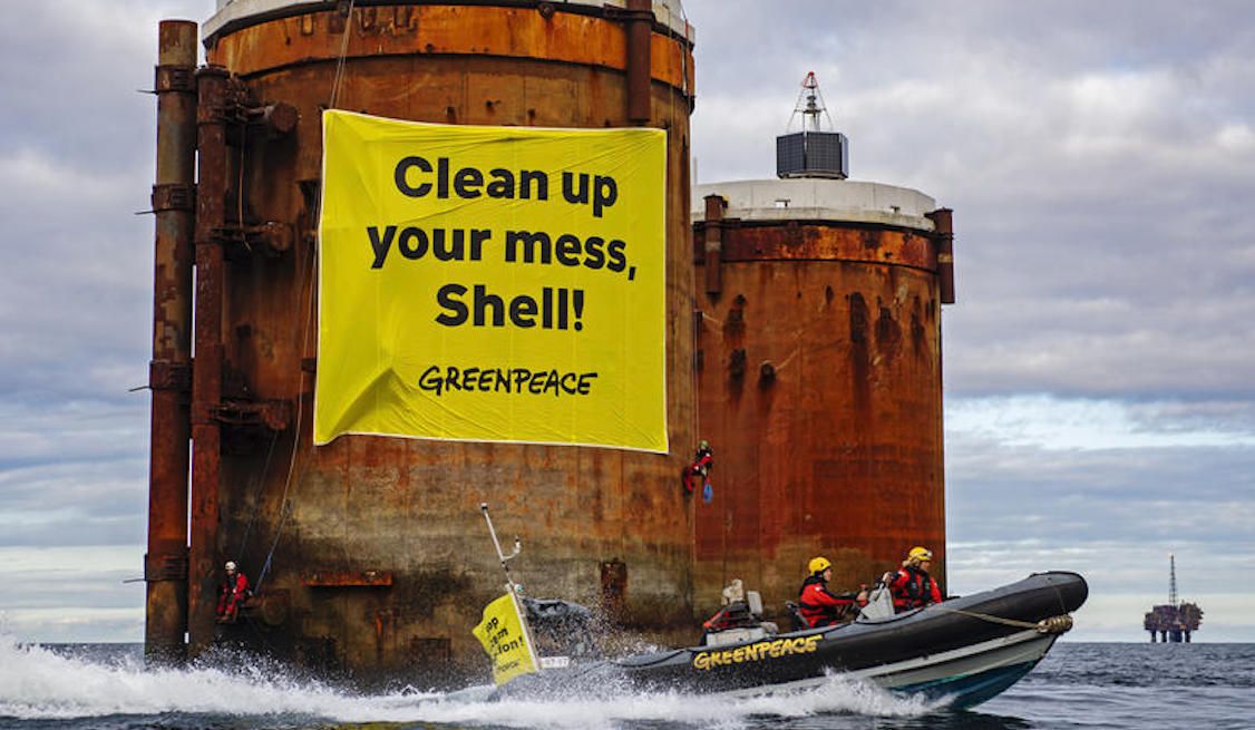 Greenpeace: 50 años de batallas para ‘salvar’ el planeta