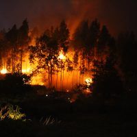 Incendio forestal en Puente Sampayo, Pontevedra. Autor: Contando Estrelas.