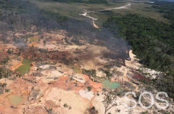 SOS Orinoco ha comprobado que incluso hay minas de oro en las cumbres de uno de los famosos tepuyes del Parque Nacional de Yacapana