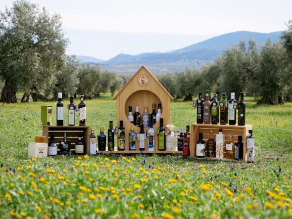 Un bodegón de aceites producidos por Olivares vivos.