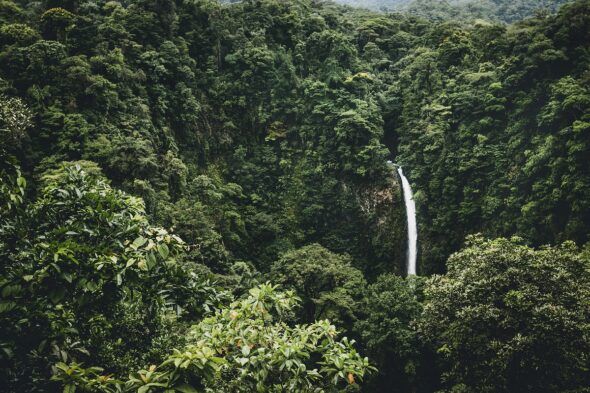 Bosque tropical de La Fortuna de San Carlos, Costa Rica.