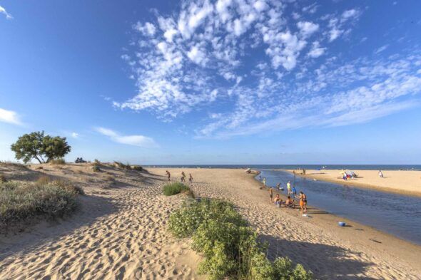 Una zona de la playa de Les Deveses en Alicante. Foto: Comunitat Valenciana.