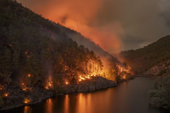 Incendio en Ribadavia, Ourense en septiembre de 2022. Foto Brais Lorenzo / WWFEspaña.