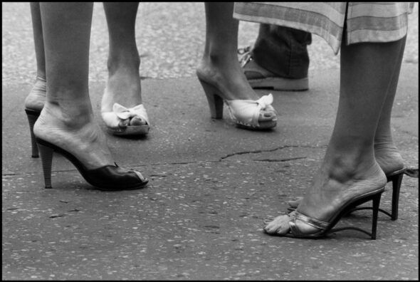 La famosa perspectiva perruna de algunas de las fotos de Elliott Erwitt. St.Tropez Francia. 1979.