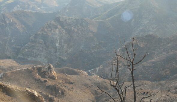 Deforestación provocada por el incendio en Cortes de Pallás en la Comunidad Valenciana. Foto: WWFEspaña