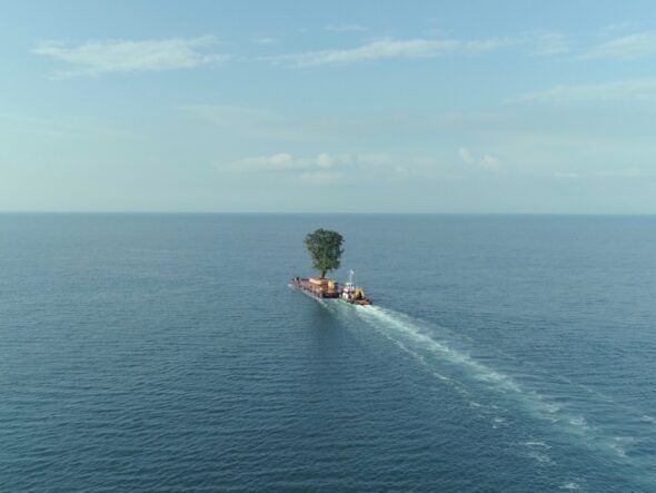 Fotograma del documental Taming The Garden en el que se denuncia el transporte de árboles centenarios desde la costa hasta el jardín de un millonario en Georgia. 