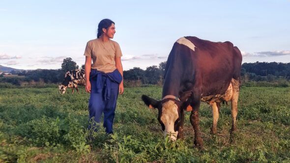 Anna Mir con una de sus vacas. Foto: César-Javier Palacios. 