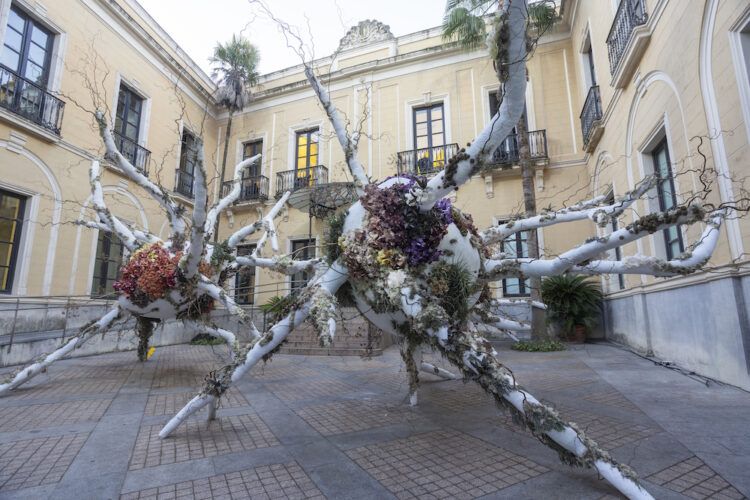 Instalación de Eugenio Ampudia en el Festival Flora de Córdoba.