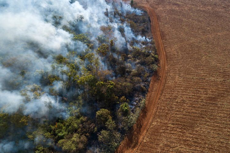 Vista aérea de desforestación y un incendio provocado para plantar soja en la Amazonia. Foto: André Dib / WWF Brasil.