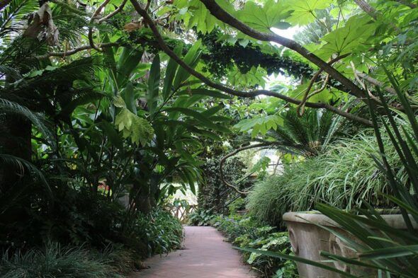 La naturaleza se desboca en el Jardín Botánico Marimutra. Foto: Jardín Botánico Marmutra. 