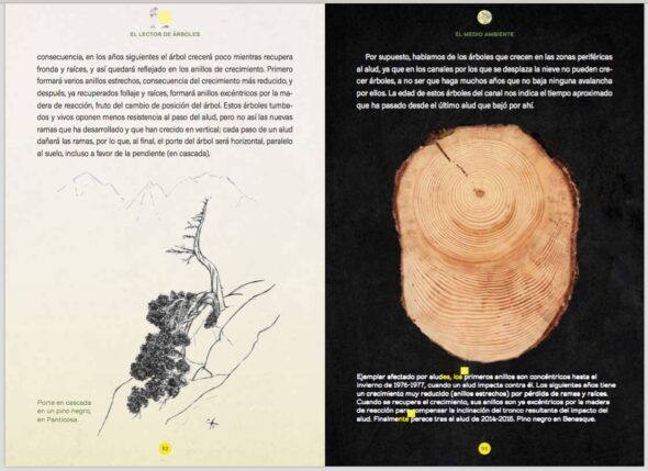 Una doble página del libro 'El lector de árboles'.