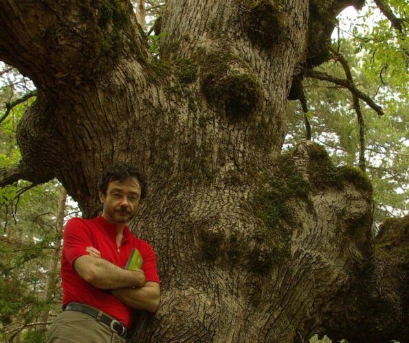 El naturalista Miguel Ortega Martínez autor del libro 'El lector de árboles'.