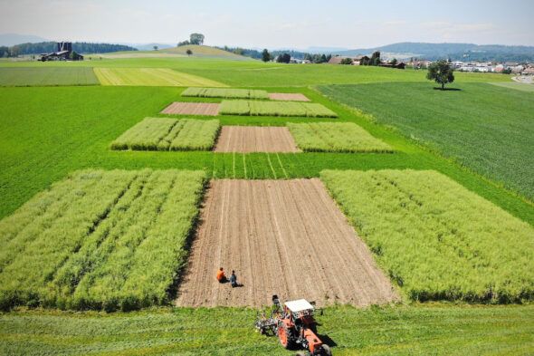 La agricultura orgánica es un campo de experimentación entre los agricultores europeos. Foto: Thomas Alföldi / Fibl. 