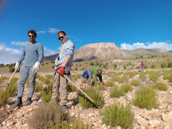 Vargas y su equipo trabajen en la restauración socioambiental del Altiplano Estepario, una biorregión situada entre Almería, Murcia y Granada que sufre riesgo de desertificación.